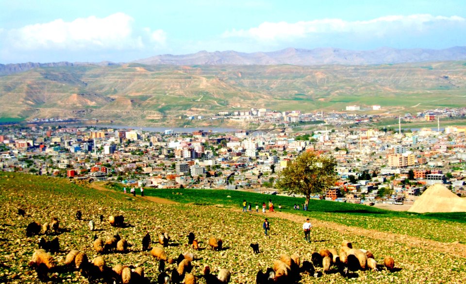 Ucuz Şırnak Otobüs BİLETİ Al